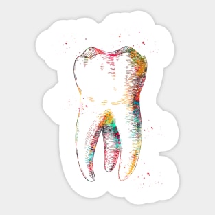 Human tooth Sticker